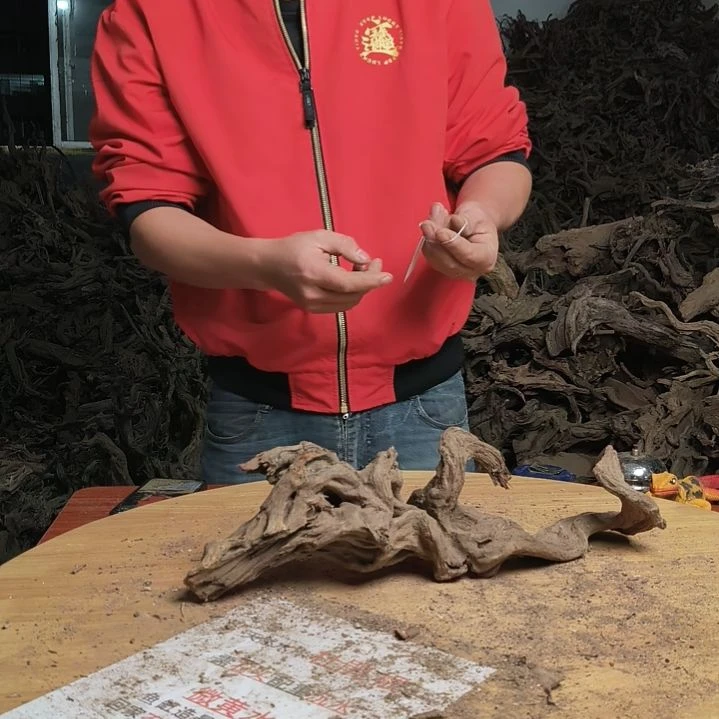 木鱼缸造景 水库杜鹃根 187