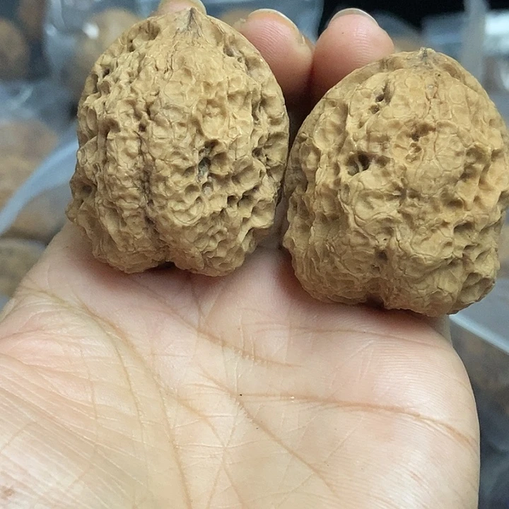 文玩核桃把件云南铁核桃基地53