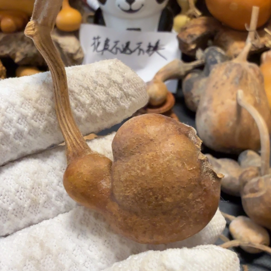 小***豹6666667777777888888