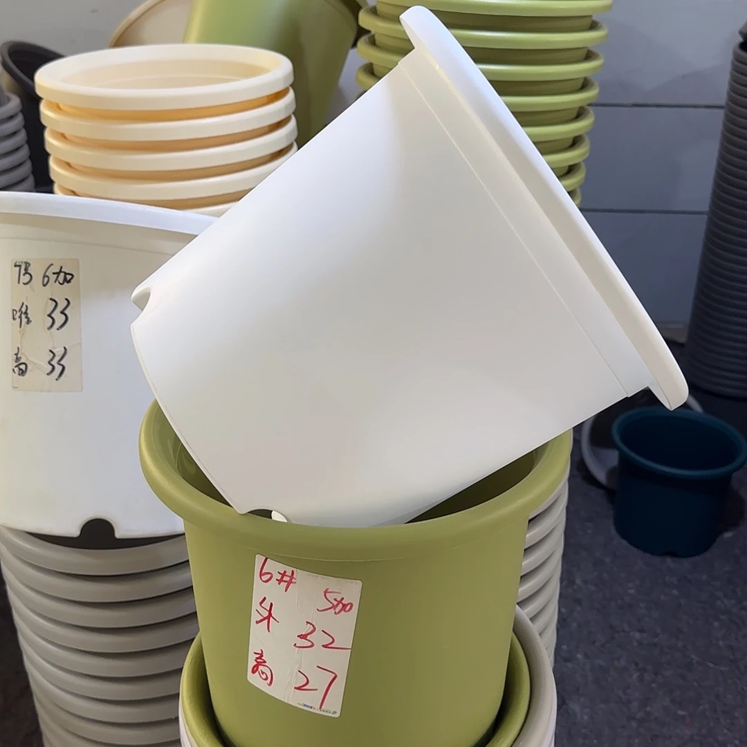 微瑕6号无托，白色7个