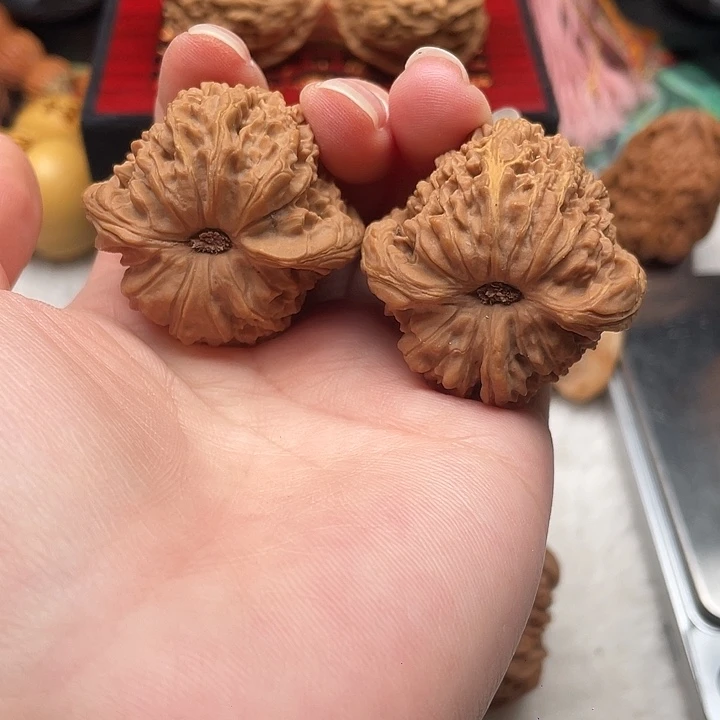 38-40 黄金甲小凹底