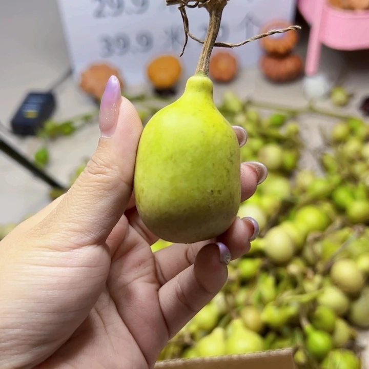 葫芦中国大陆小****中