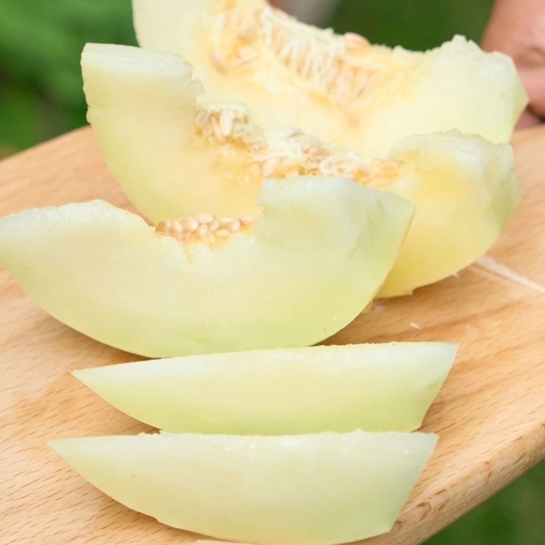 【婉琳专属】陕西阎良甜瓜软糯香甜脆新鲜鲜脆美味5斤产地直发