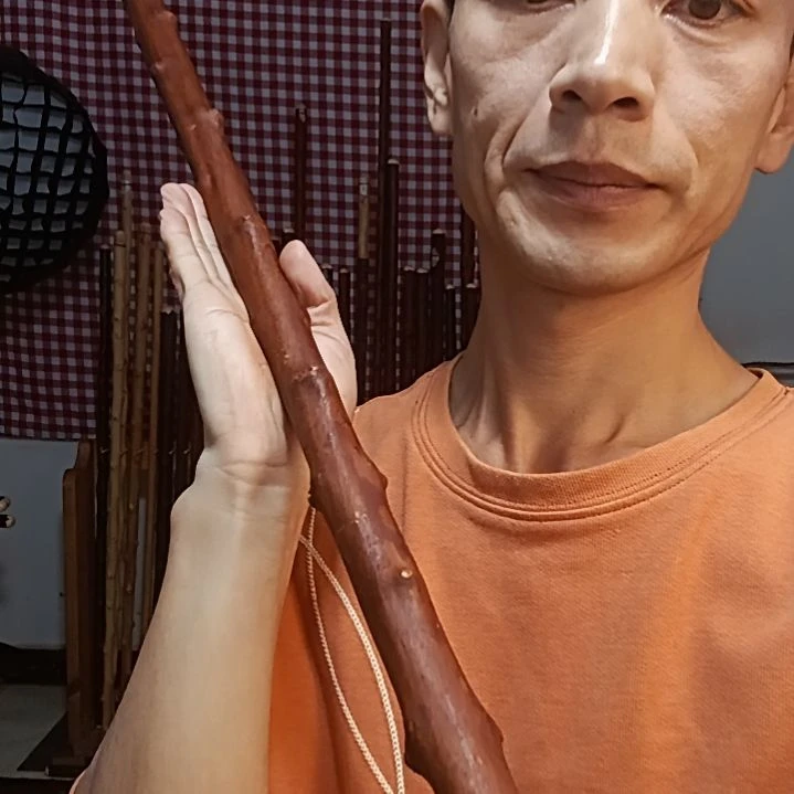 不***已太行山北对节短棍