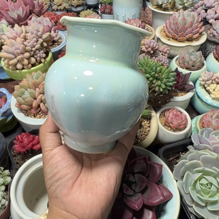 特价花盆满50发货内口6.5