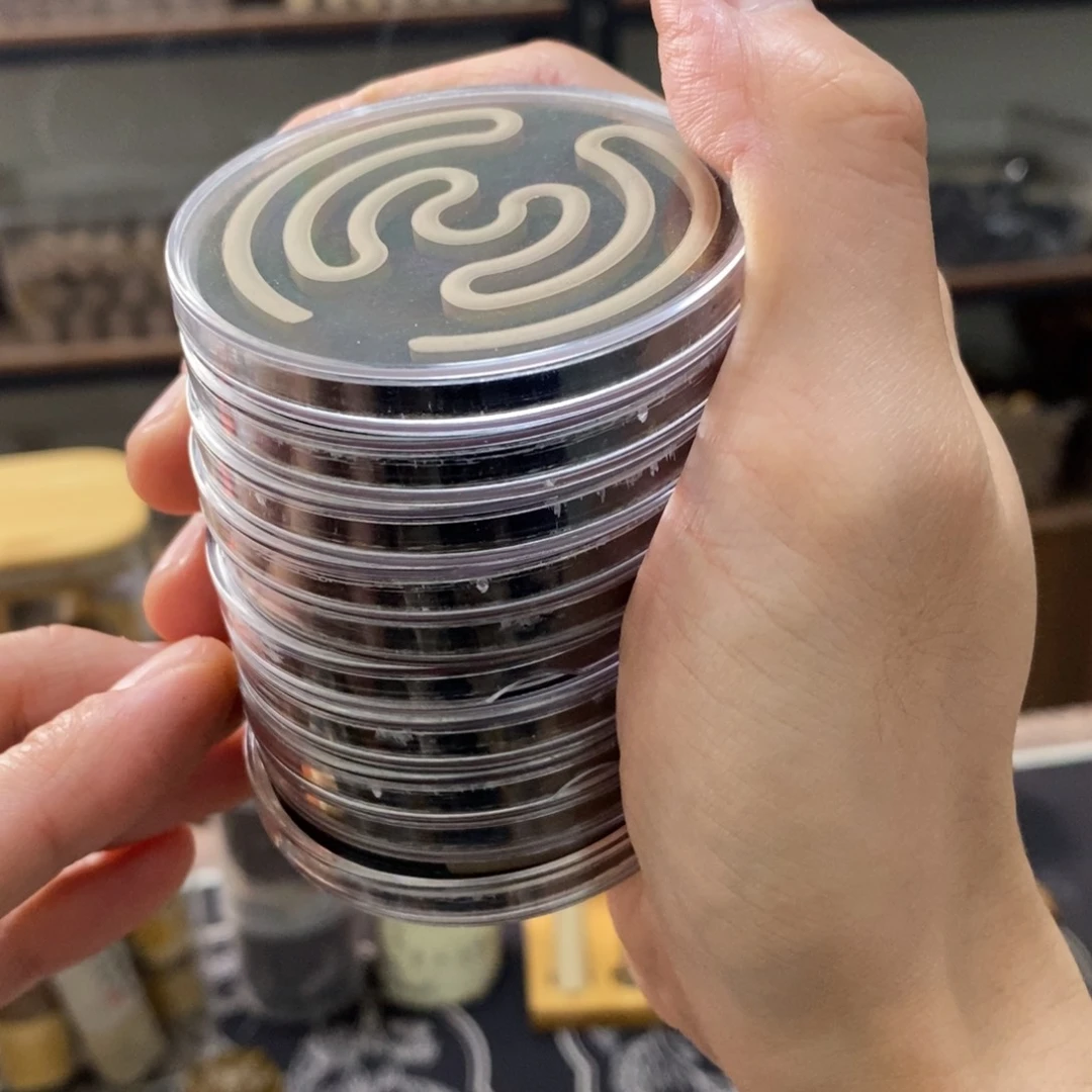 a*柒10片老山同心圆666666666666