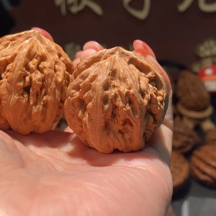 木质类聚核财婉楸126