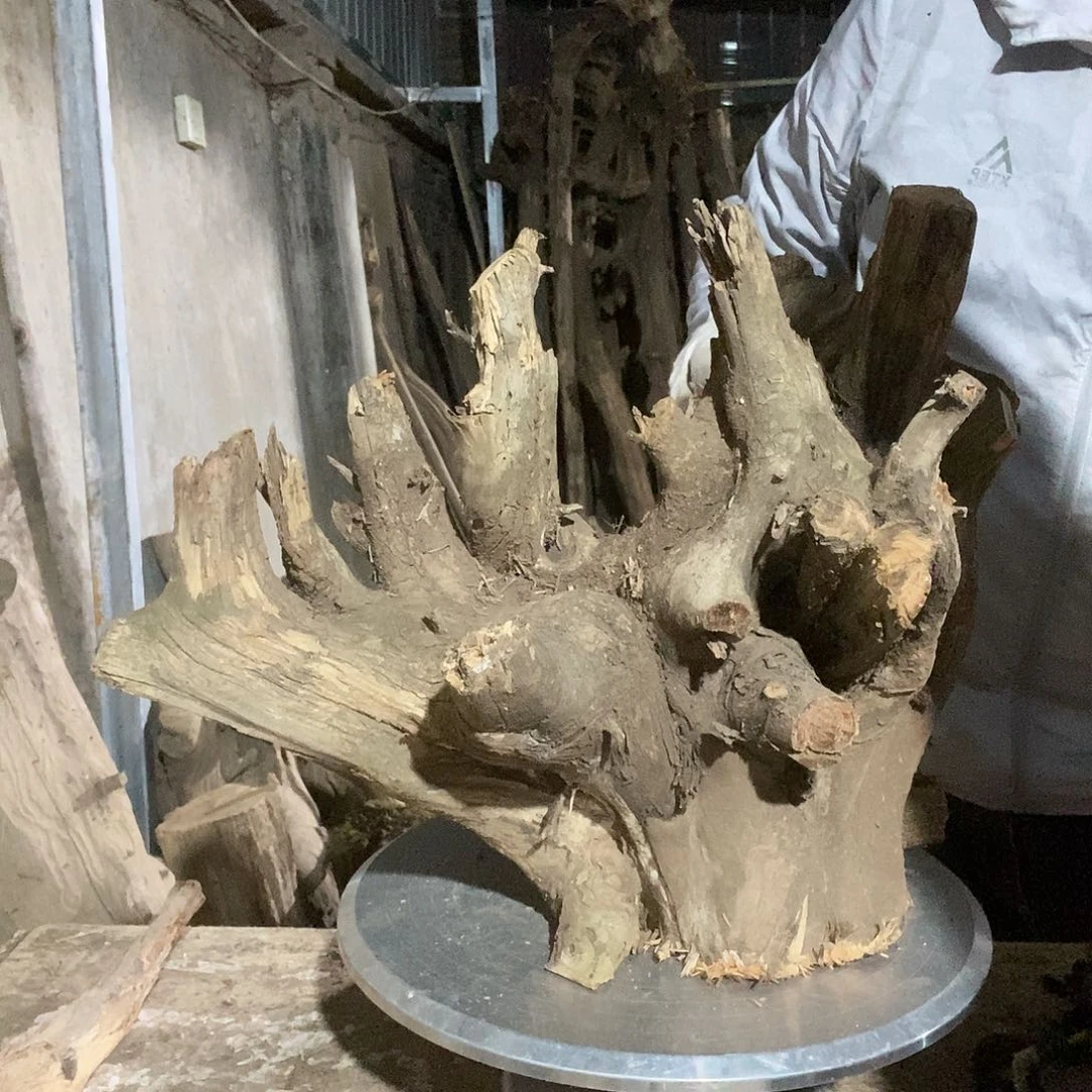 阳**人太行的太行太行