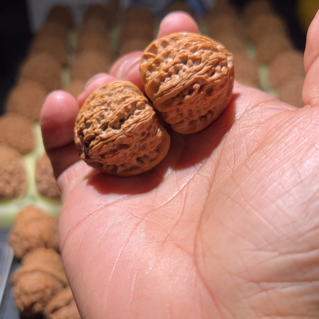 文玩核桃吊坠留**歌33白狮子