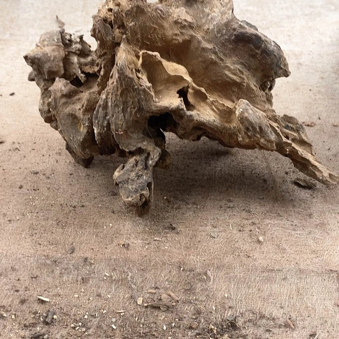 木昭**室黄花梨随形料子