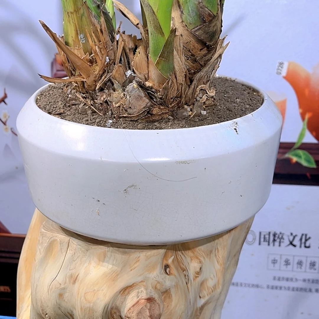 【闪购商品】大*精品株木家具系列产品