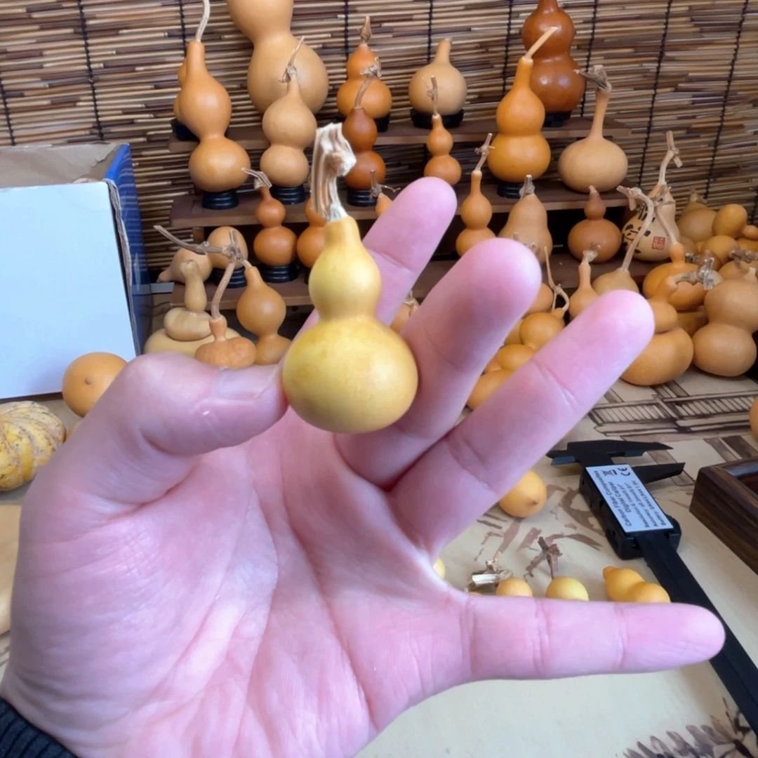 小花皮草里金厚皮微瑕（19）