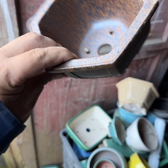 这几句真的好好啊哈哈好好听我