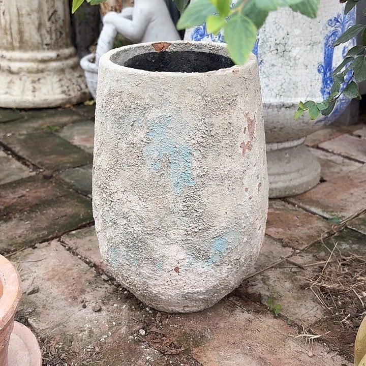喵***i许纯的花房 孤品017