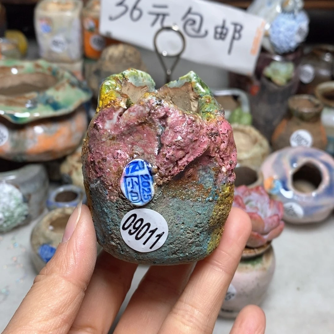 花盆拍3送一个小礼物