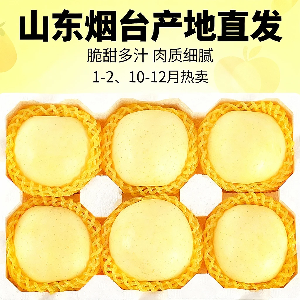 2025年新苹果山东烟台奶油富士新鲜水果黄苹果稀有产地直发