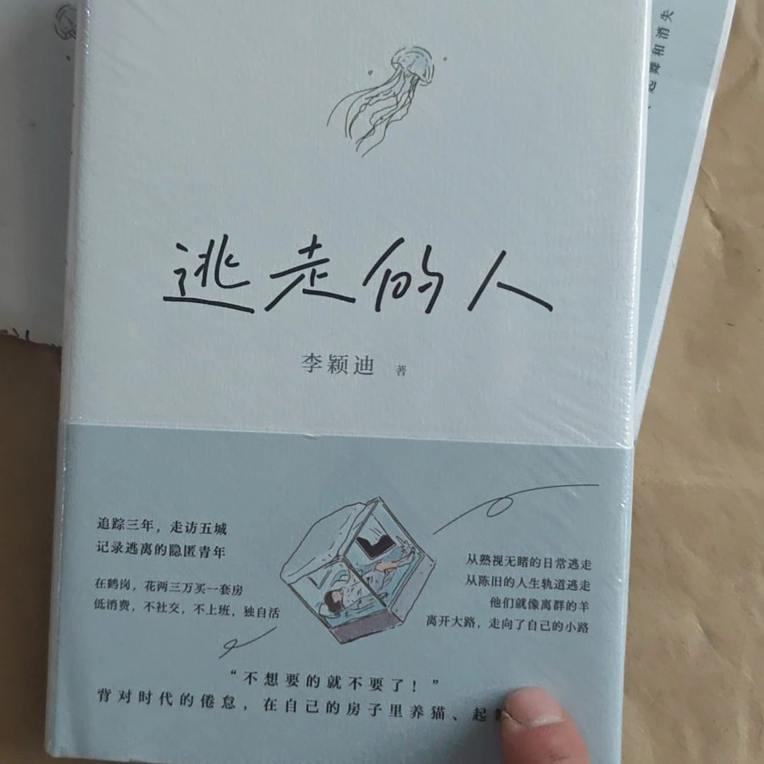逃走的人李颖迪露精装二四年的新书啊。