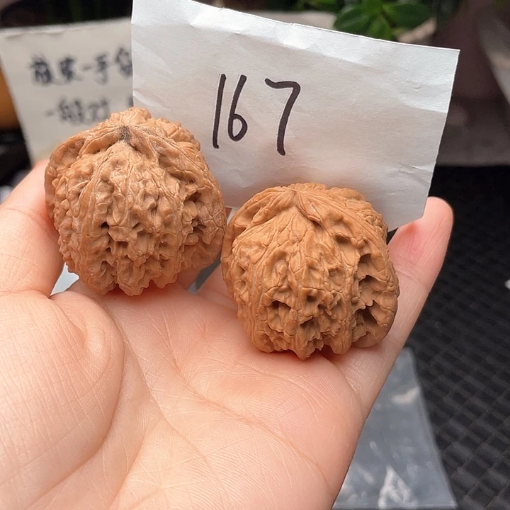 4243尺寸白茬练手对白狮子