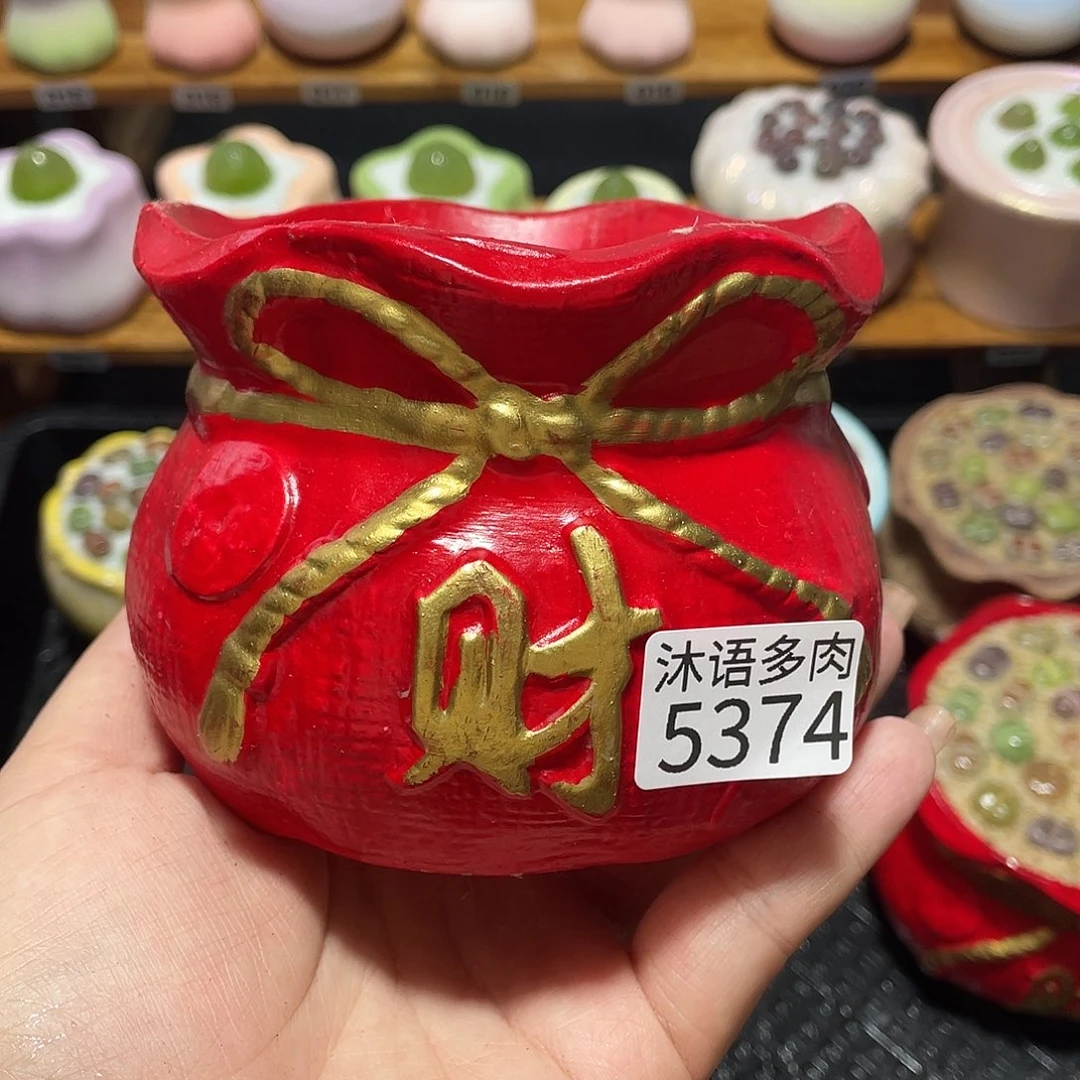 北***r带盆土植物 一物一拍5374