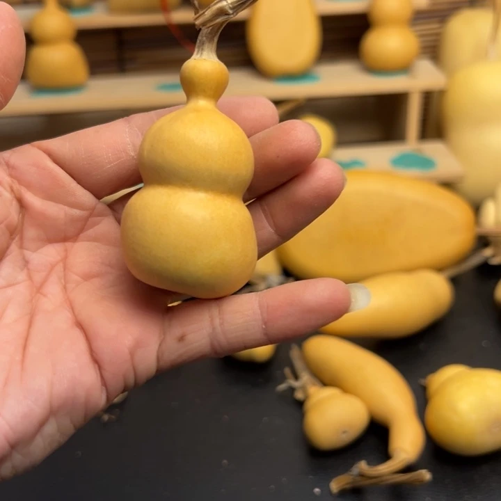 ?*.葫芦葫芦葫芦葫芦葫芦