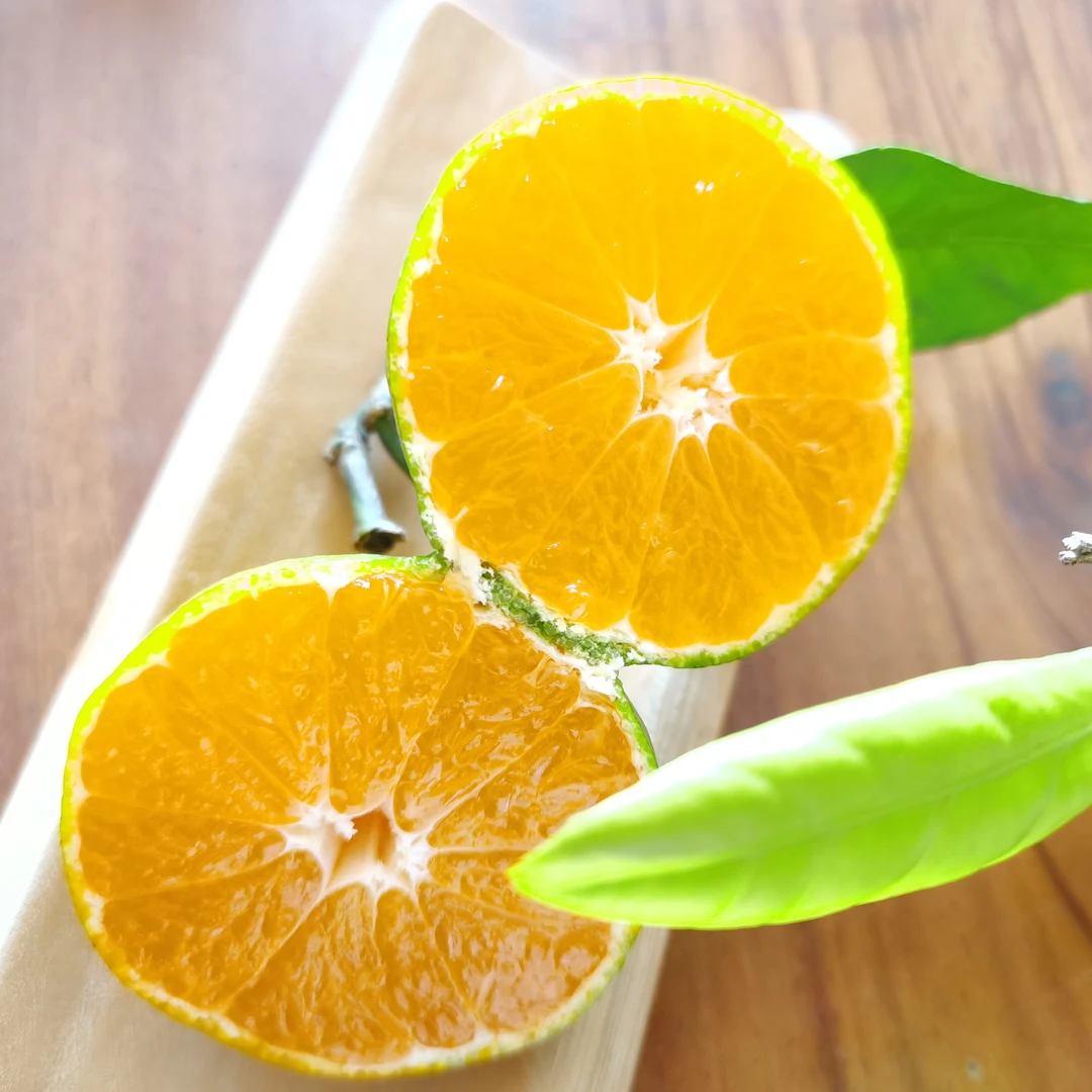 太浮山柑橘果园直发冰封