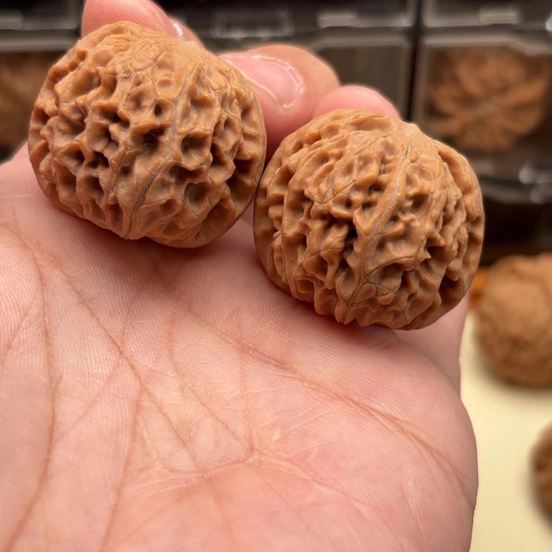 文玩核桃把件龙眼