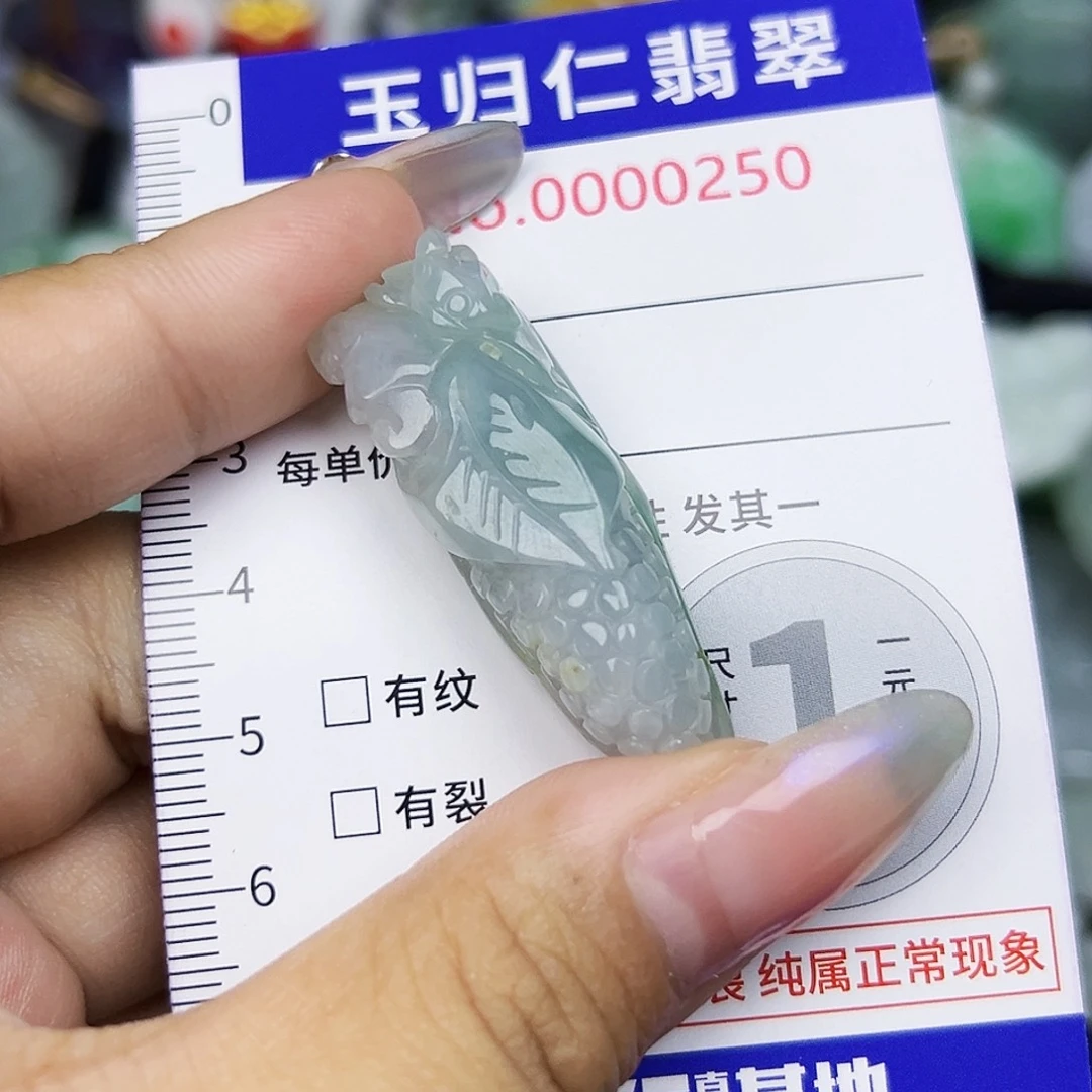 翡翠未镶嵌吊坠(不含链)111