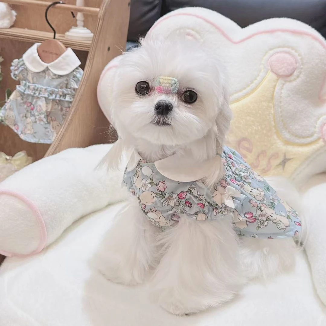 新款宠物服蓝色兔子娃娃领连衣裙