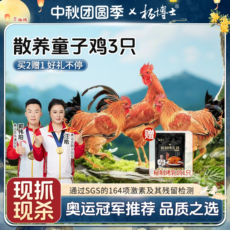 【食安放心】孩子爱吃杨博士土鸡散养童子鸡送秘制烤乳鸽新鲜现杀