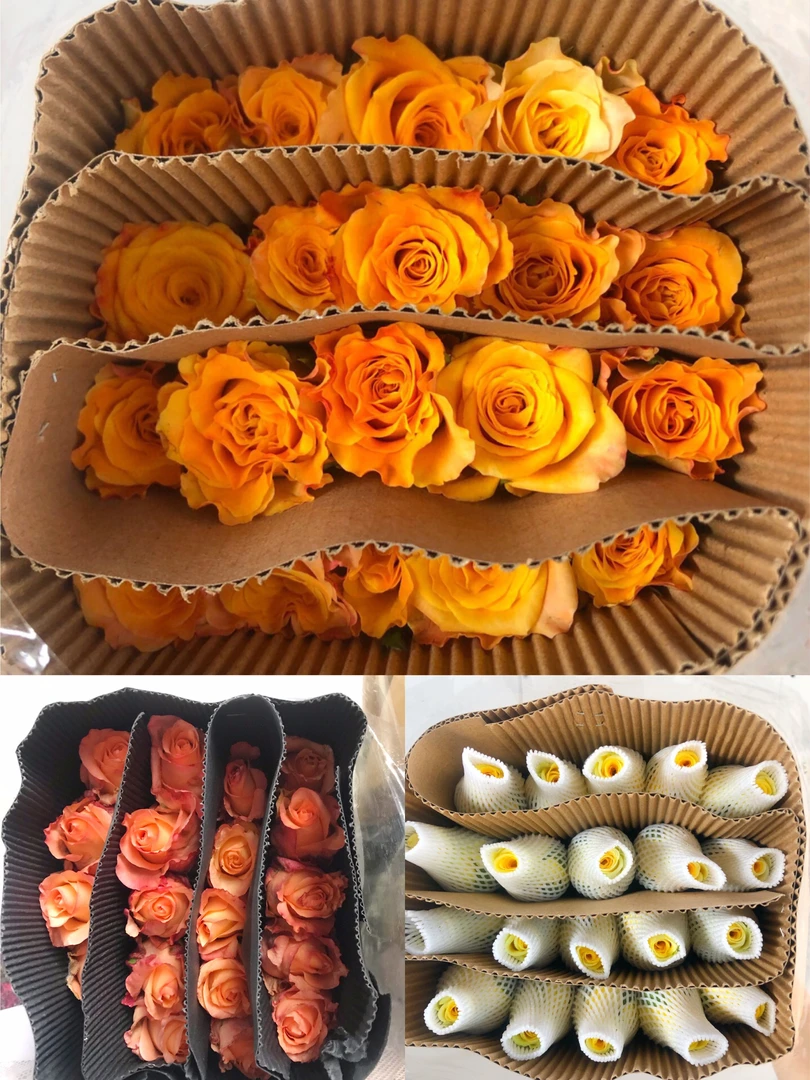 福利套餐A08  云南基地直发 鲜花 水养