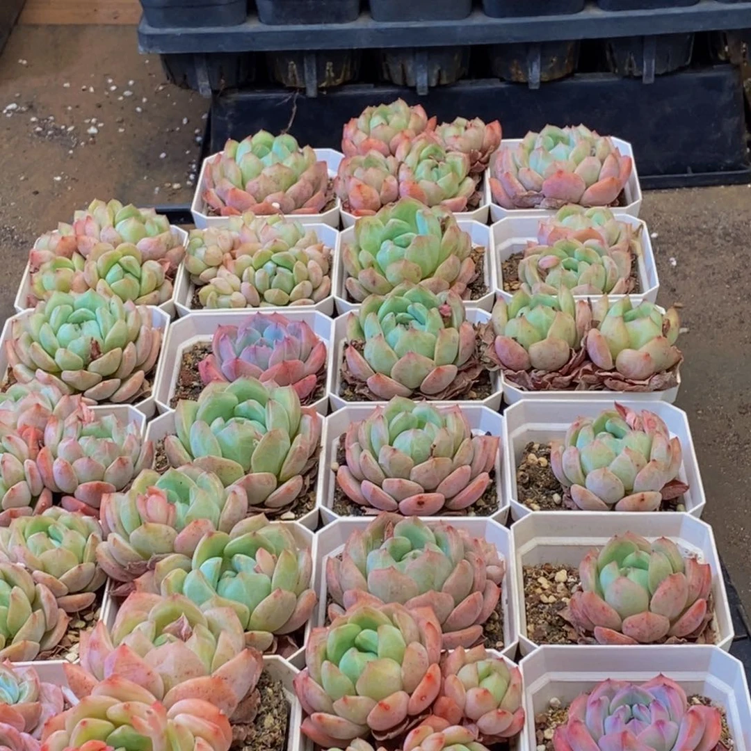 409的人在一起的时候我也不