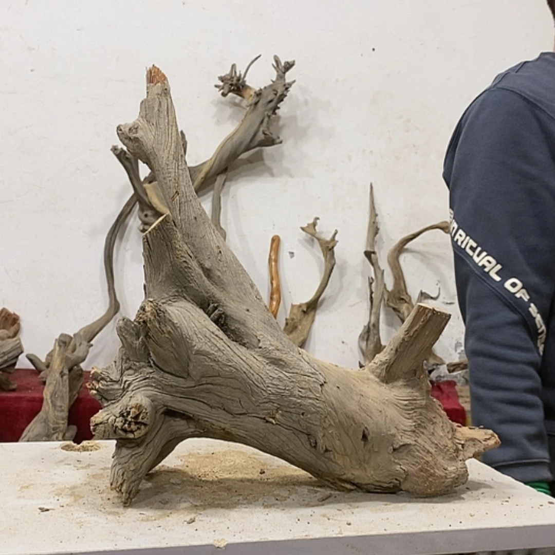 【闪购商品】柏木阿****装我们都是好孩子