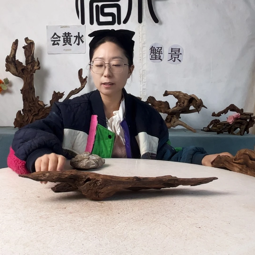 沉木造景爬宠造景