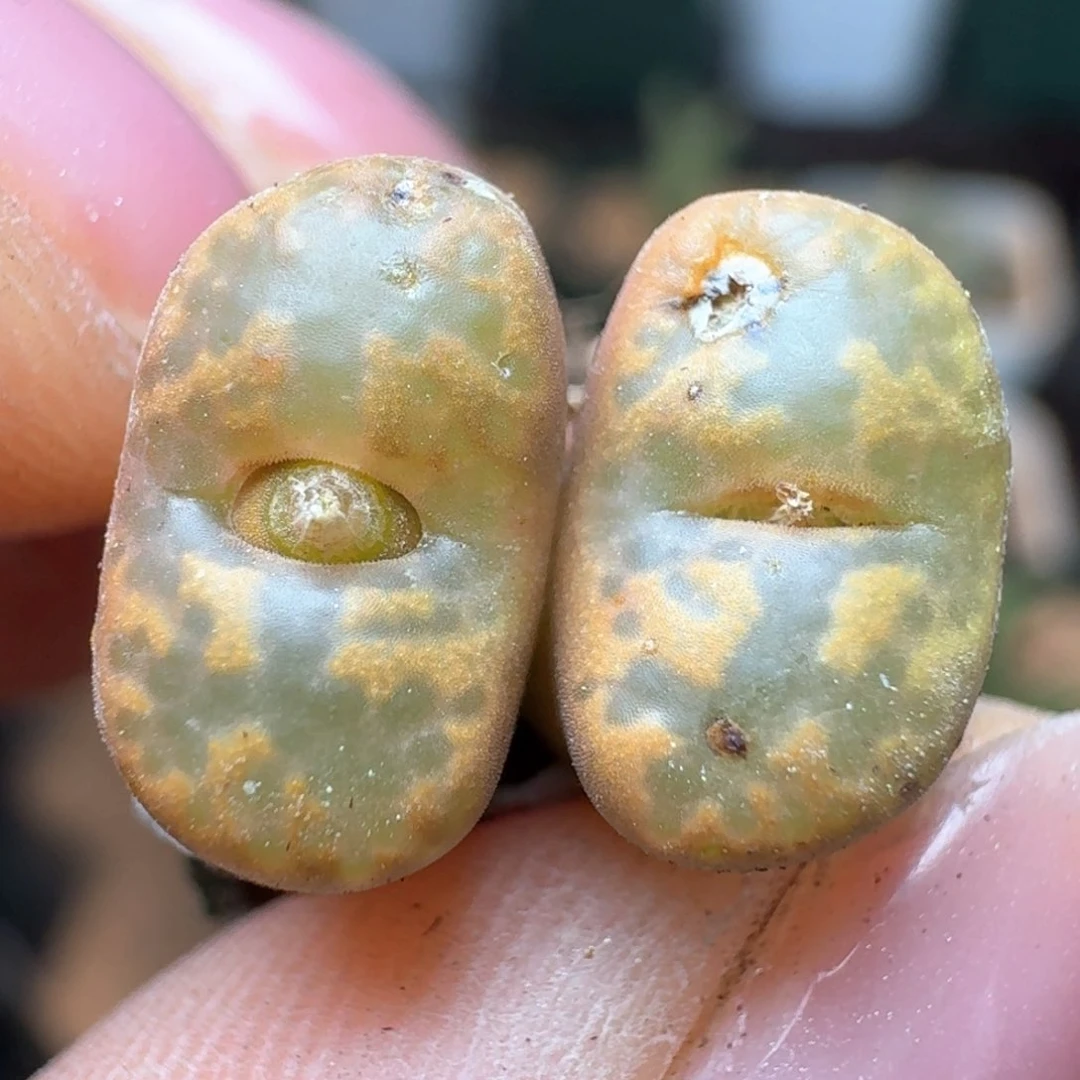 174福利0000000000000