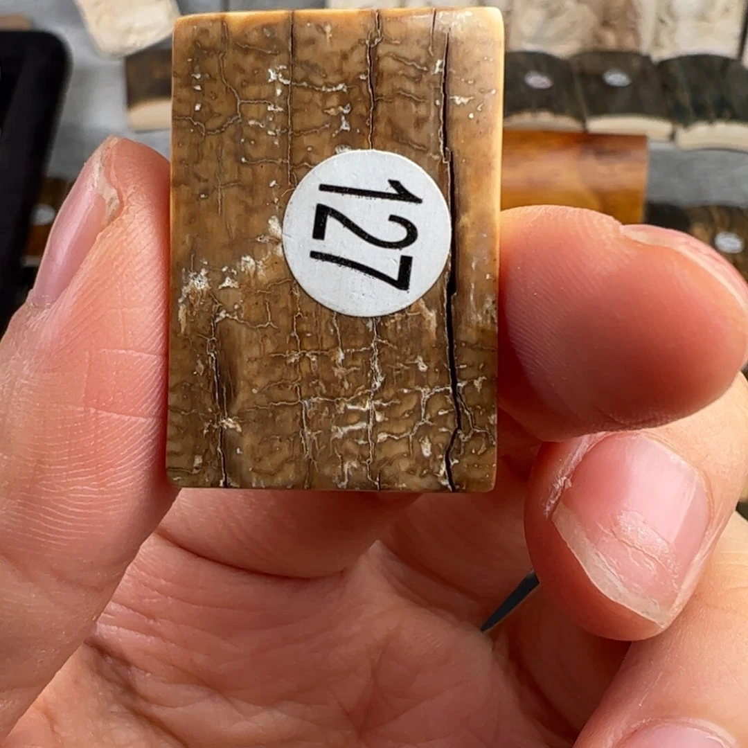 泥塑猛犸象牙打孔雕刻不退放福利