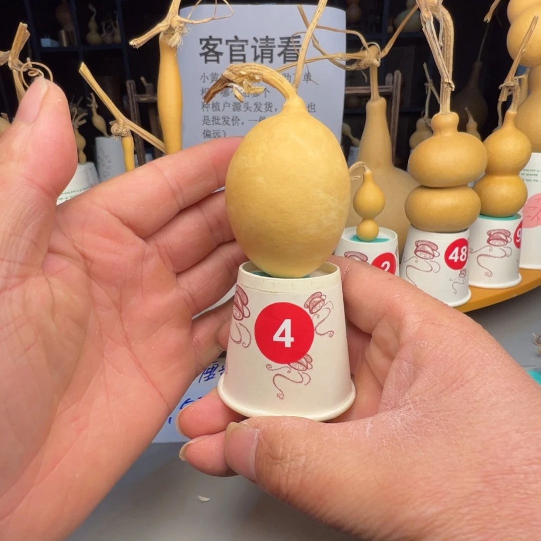 闪电购自助下单编号04