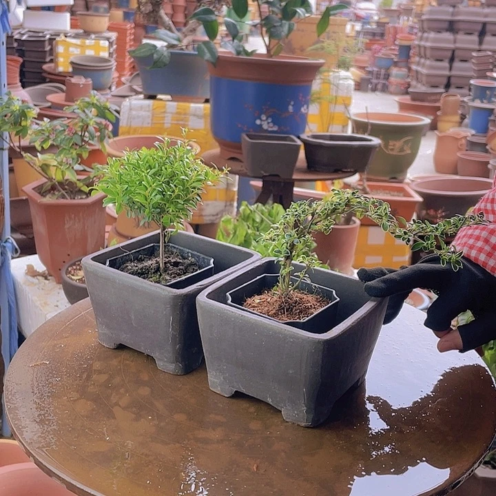 紫砂宜兴紫砂13+13四方