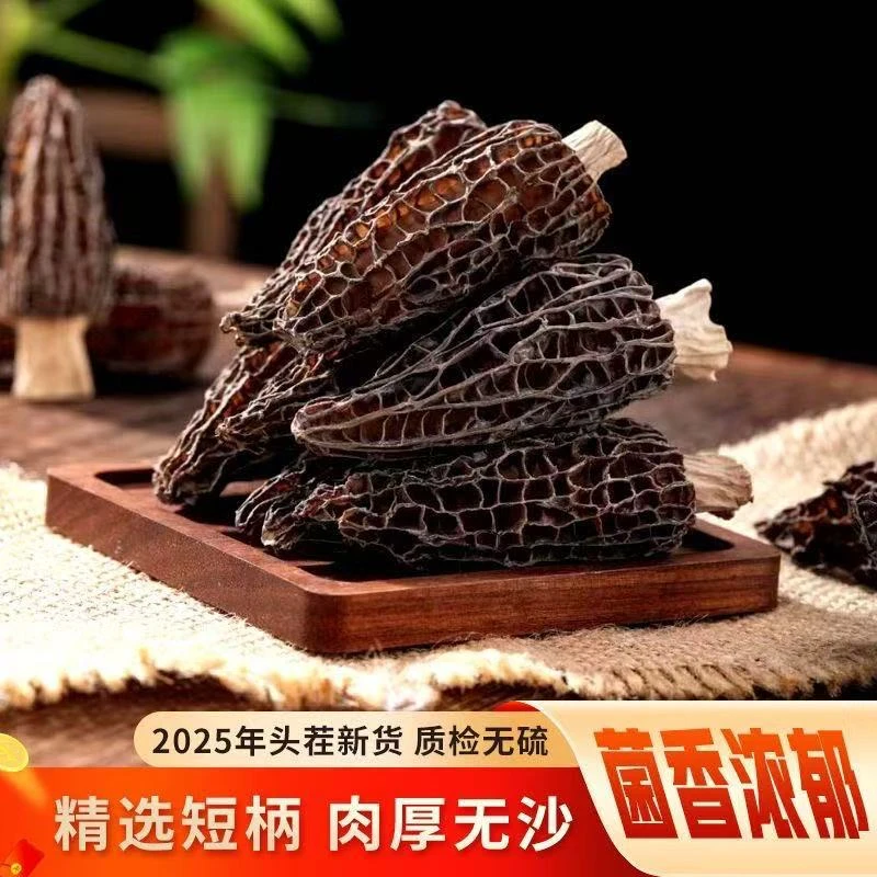 云南高山羊肚菌迷你羊肚菌干度足煲汤鲜美无熏硫干净无沙