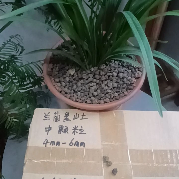 小***果兰菌颗粒中颗粒6.6斤