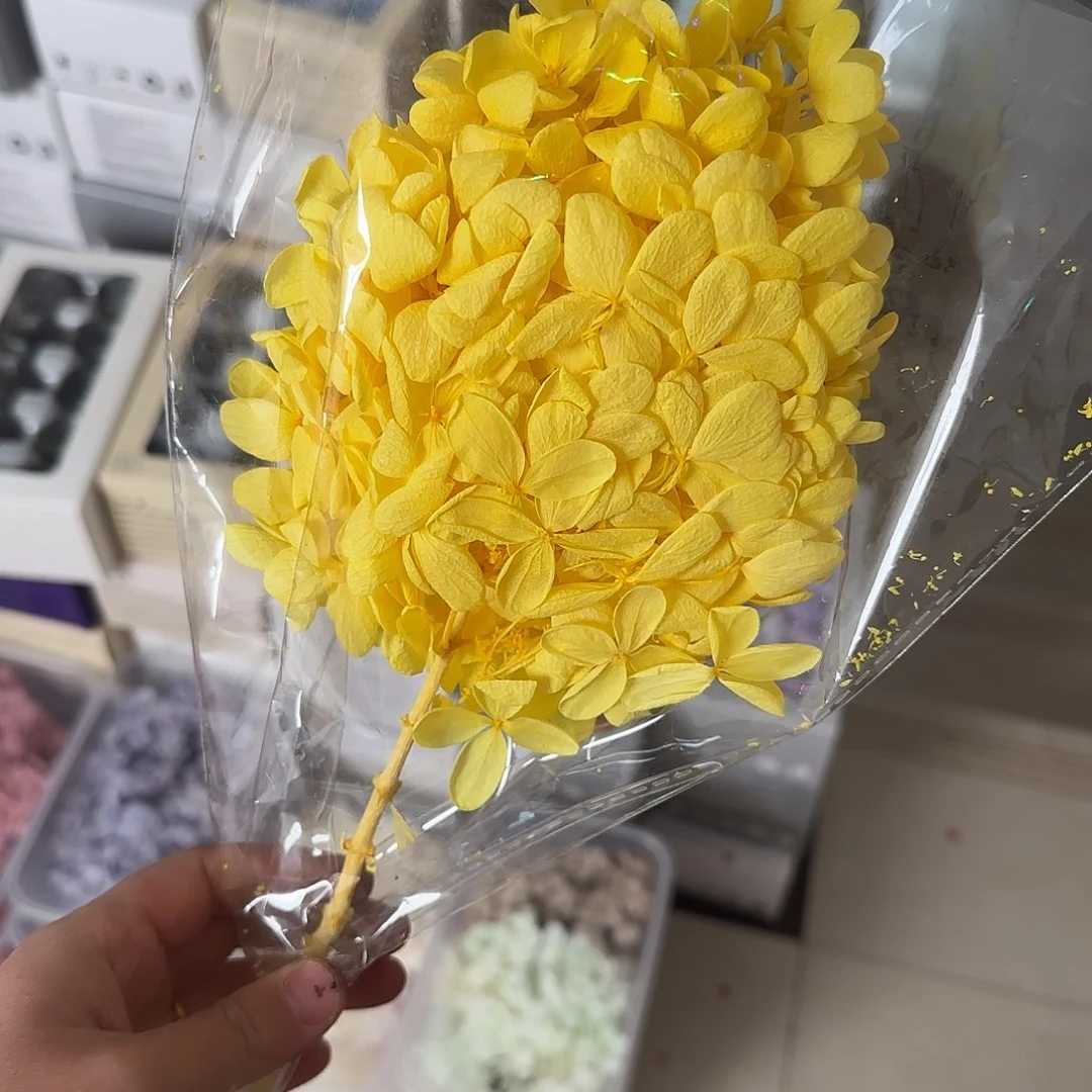 D76号黄色绣球带杆