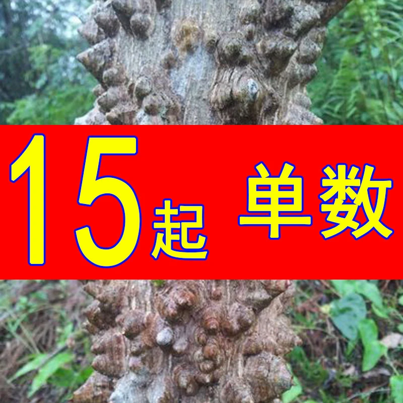 【一物一拍】降龙木花椒木车载防身棒文玩装饰摆件雕刻收藏小鸟站杆