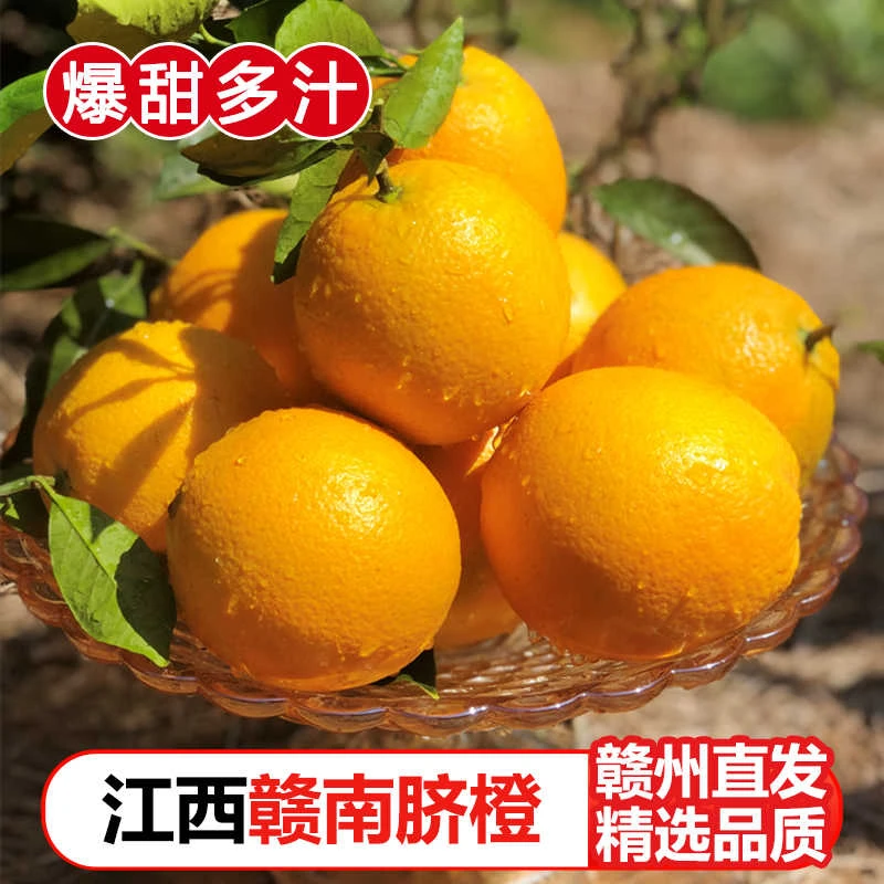 【果园直发】正宗赣南脐橙新鲜橙子当季水果手剥橙子甜橙大果整箱
