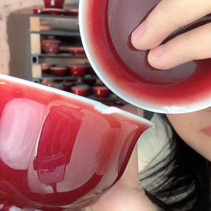 小***通瓷片景德镇郎红陶瓷碎