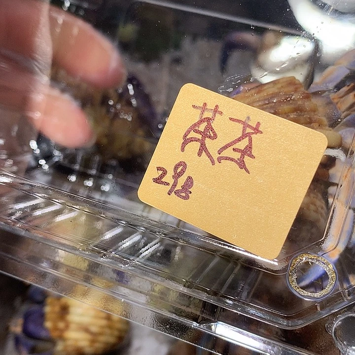 茶茶专拍奔跑的寄居蟹