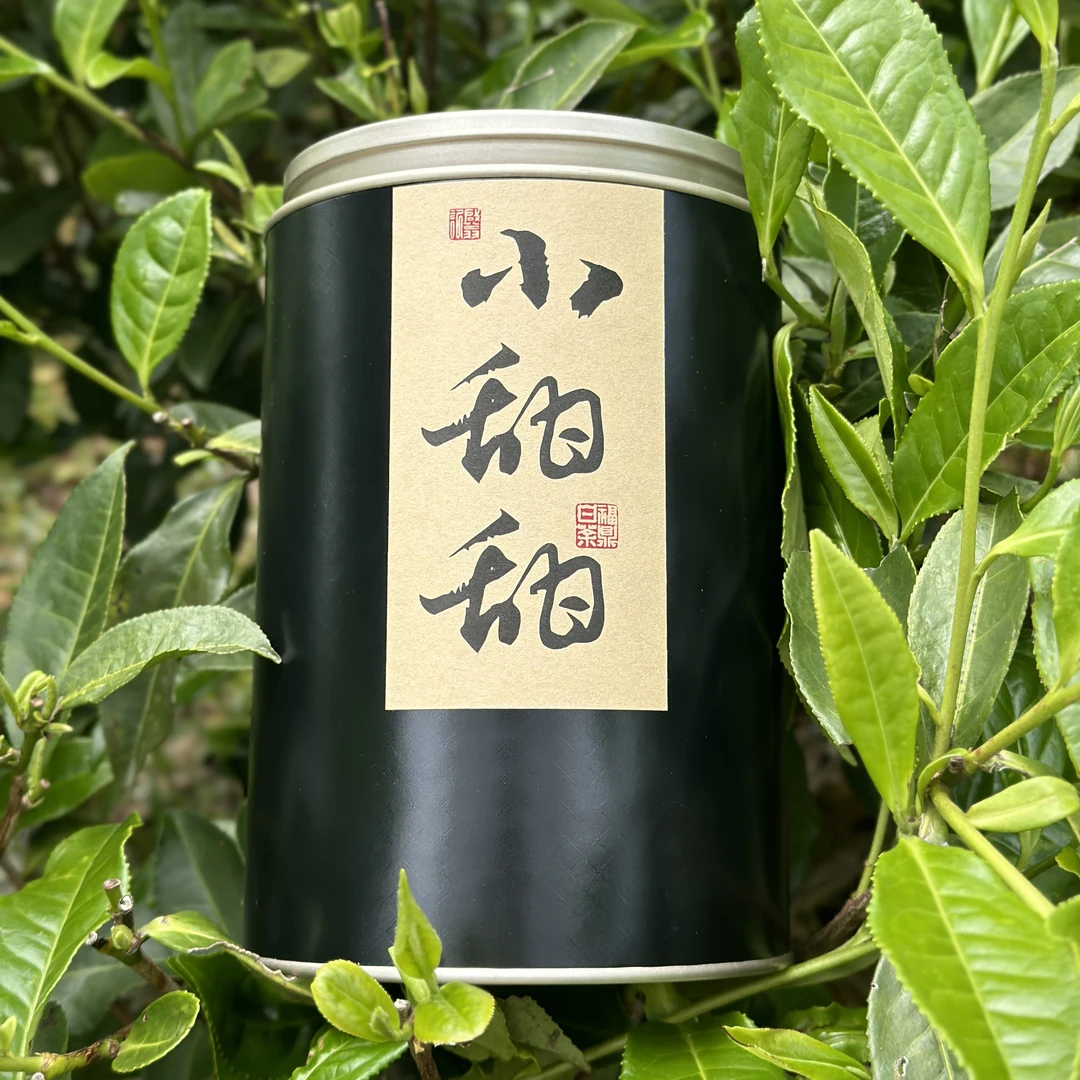 【小甜甜】2025年一级白牡丹花香清甜管阳西昆福鼎白茶多采小宇茶集