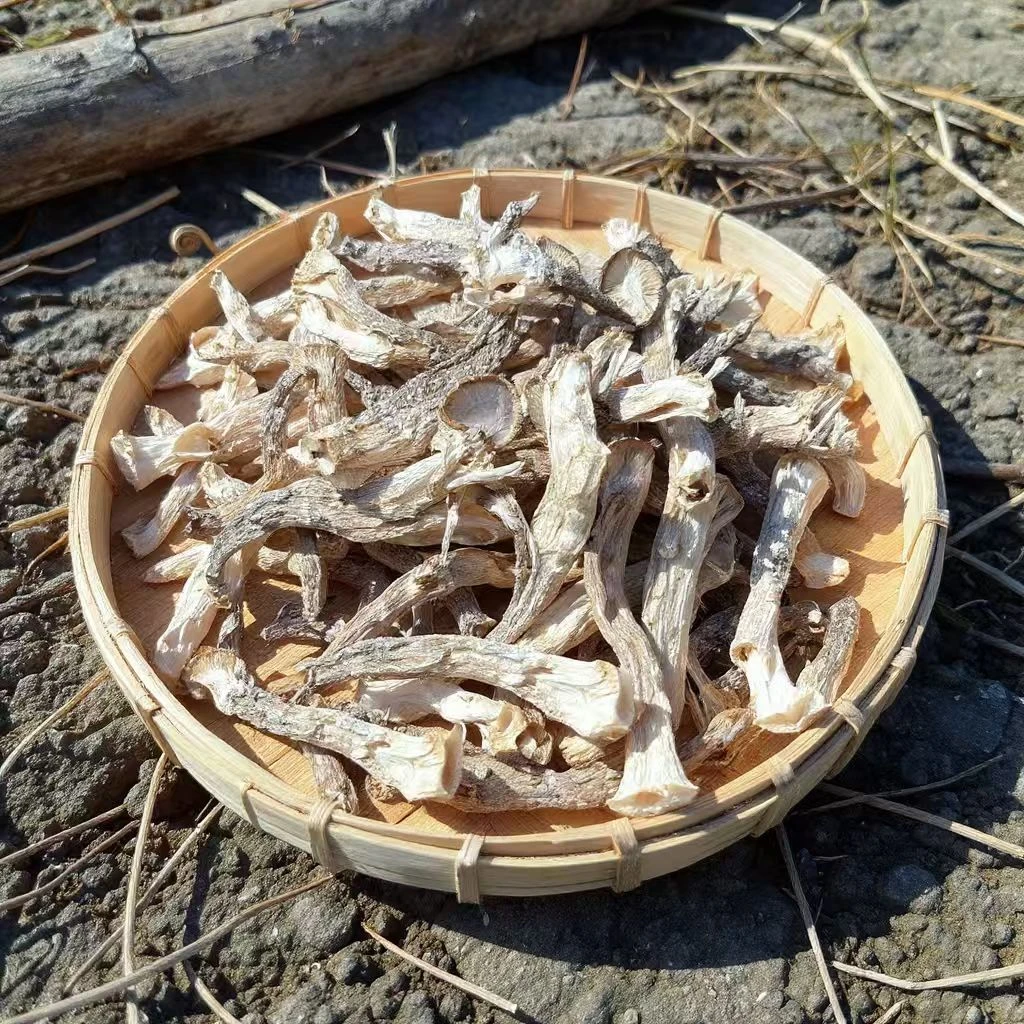 （彬哥推荐）鹿茸菇250g 菌菇煲汤食材 煲汤炖肉