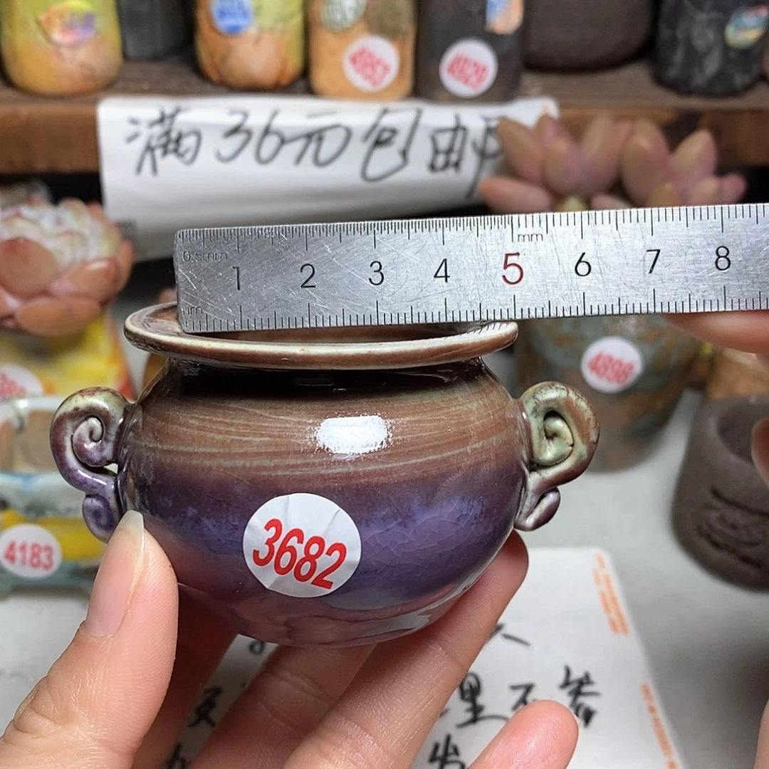 红陶拍5送一个小