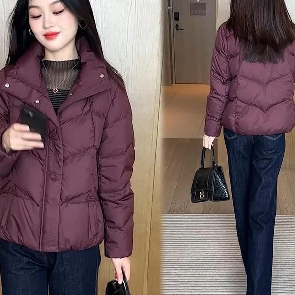 短款立领女秋冬新款加厚保暖休闲百搭纯色外套小个子时尚