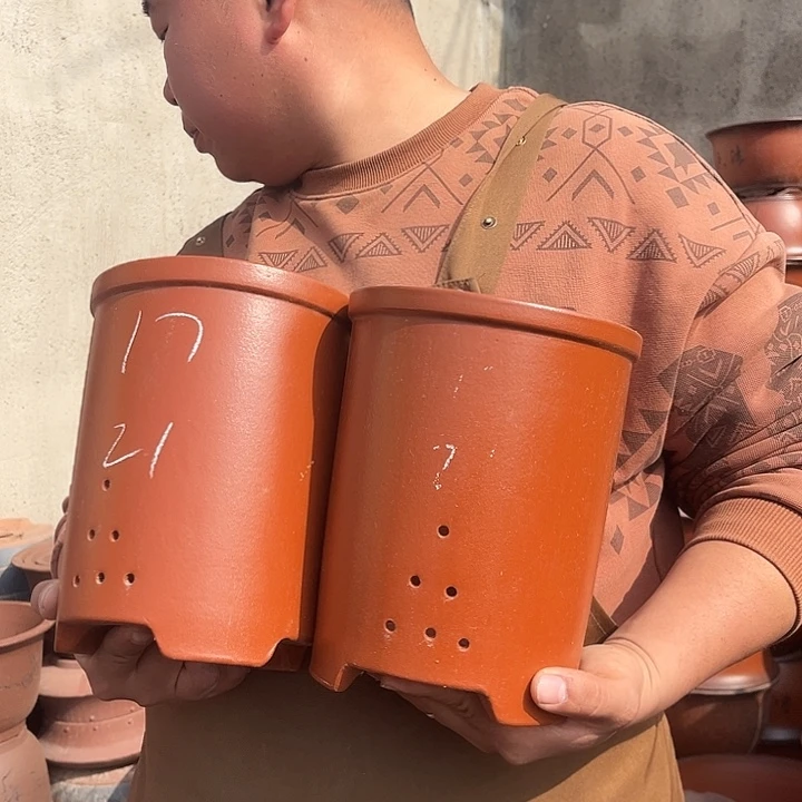 紫砂紫砂花盆盆栽