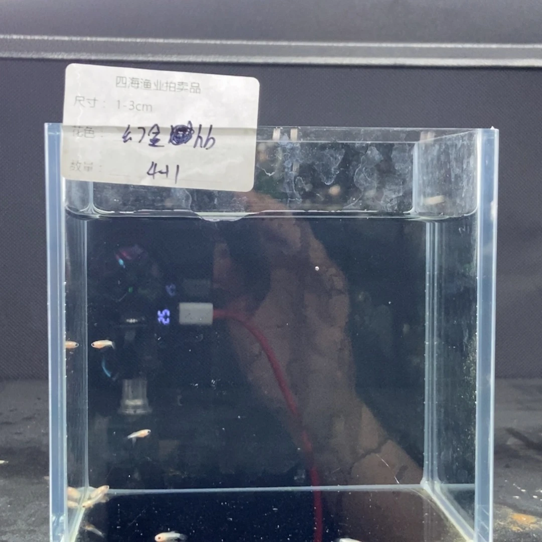 斗鱼包活不包损所见即所得072